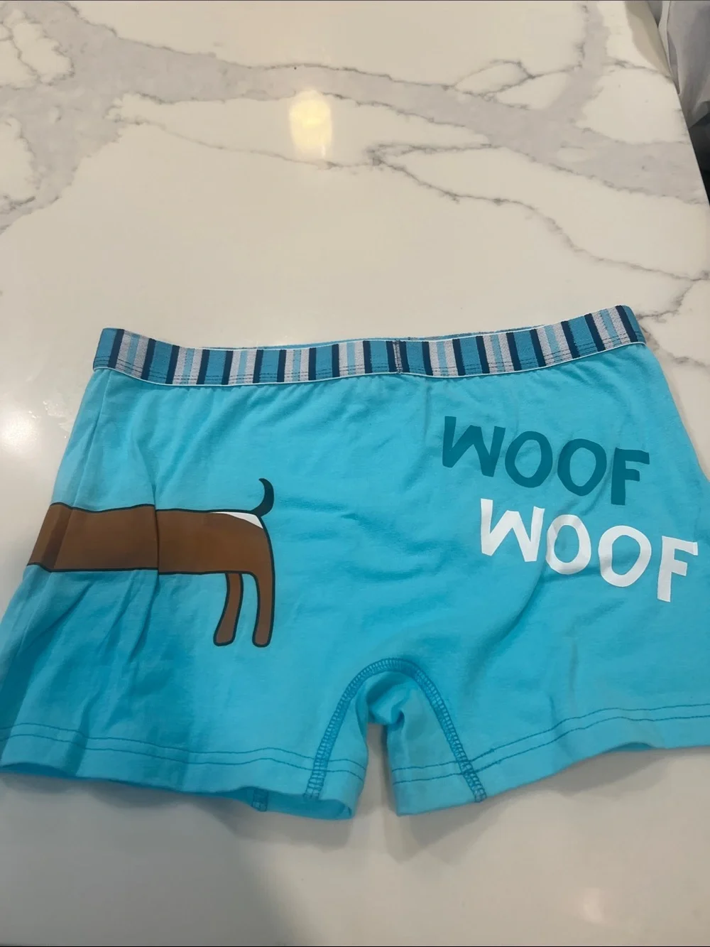 Blue Boys Boxer Briefs with Dachshund Graphic - 